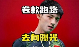 媒体爆料尘埃落定视频,媒体爆料视频真相大白